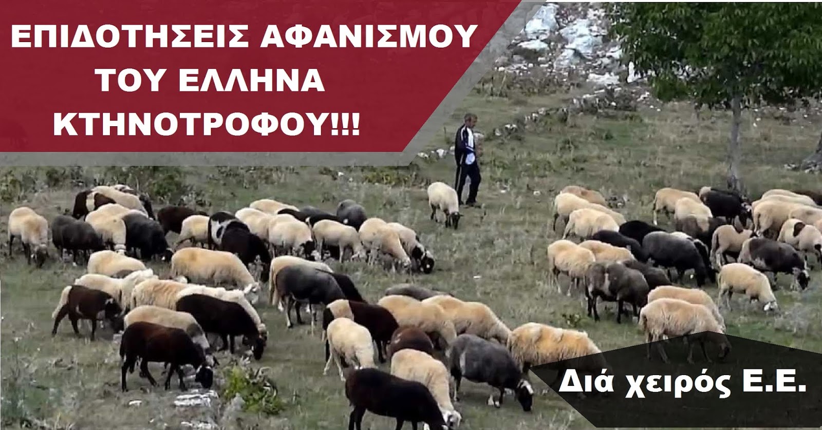 Η Ε.Ε. ΚΑΛΕΙ ΤΟΥΣ ΕΛΛΗΝΕΣ ΚΤΗΝΟΤΡΟΦΟΥΣ ΝΑ….ΑΥΤΟΚΤΟΝΗΣΟΥΝ !