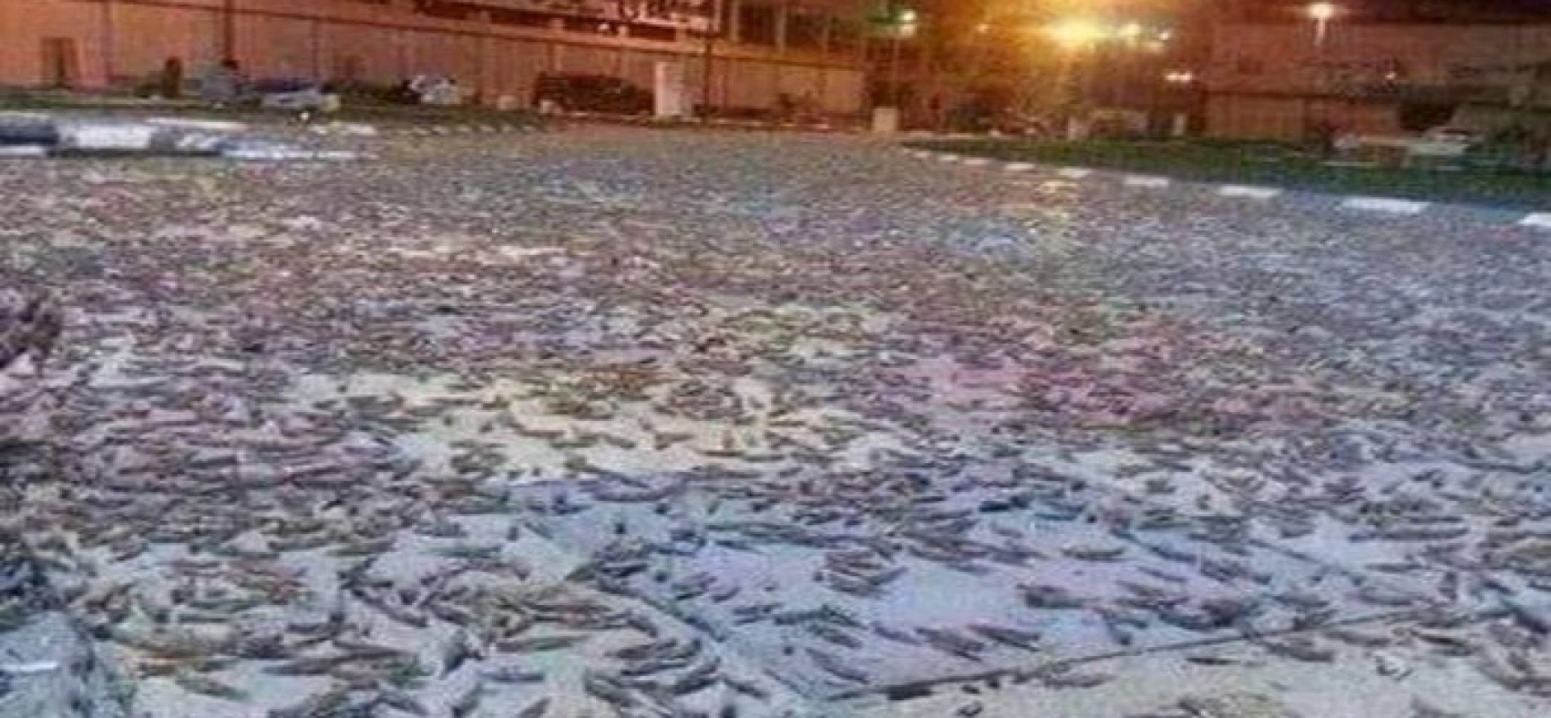 Μία από τις 7 πληγές της Αιγύπτου έπεσε στη Μέκκα