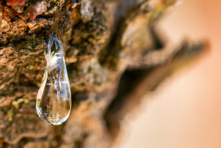 shutterstock_705338545