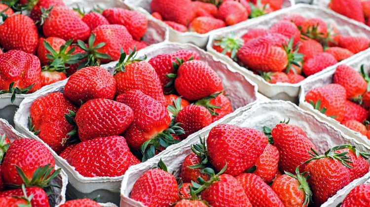 Φράουλα – Τα οφέλη ενός νόστιμου «superfood»
