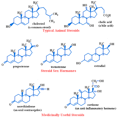 different-forms-of-steroids