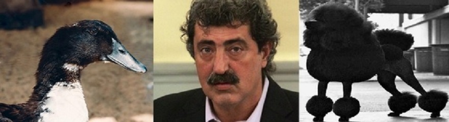 ΠΡΟΣ ΤΟ ΚΑΝΙΣ ΠΟΥ ΚΑΝΕΙ ΤΗΝ ΠΑΠΙΑ