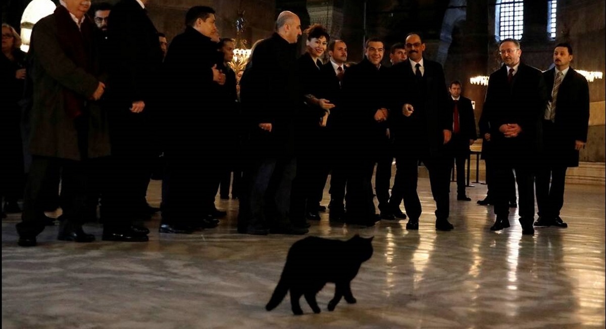 ΔΡ.Κ. ΒΑΡΔΑΚΑΣ Δεν υπάρχει μαύρος γάτος μέσα στην ΑΓΙΑ ΣΟΦΙΑ. Αυτοί τον έφεραν για να προσβάλλουν τον απανταχού Ελληνισμό με αυτήν την εικόνα.