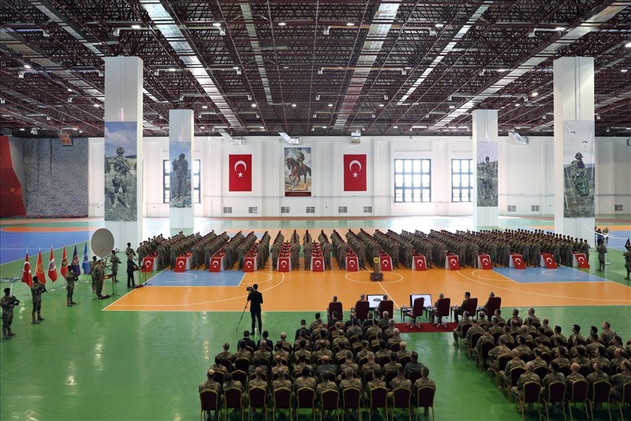 ozel71_