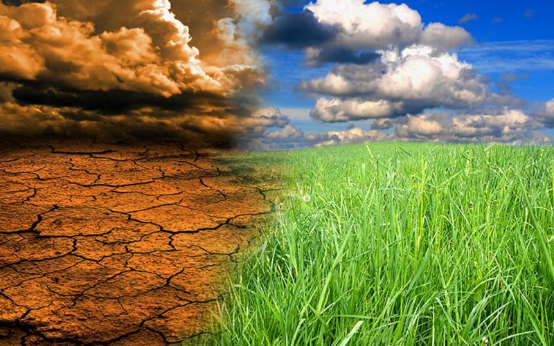Συνιδρυτής Greenpeace: Η παγκόσμια υπερθέρμανση είναι η μεγαλύτερη απάτη στην ιστορία