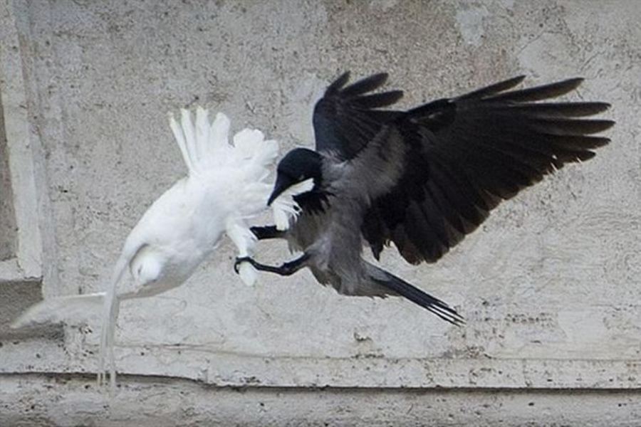 Η ΣΥΝΕΧΕΙΑ ΠΟΥ ΕΡΧΕΤΑΙ…