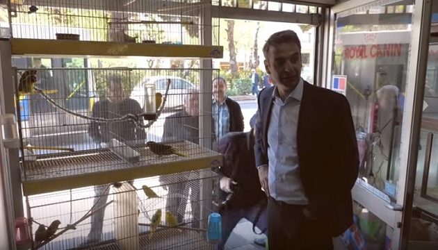 ΤΟ’ ΠΕ, ΤΟ’ ΠΕ Ο ΠΑΠΑΓΑΛΟΣ! Ο ΚΟΥΛΗΣ ΖΗΤΑ ΑΠΟ ΠΑΠΑΓΑΛΟ ΝΑ ΠΕΙ «ΨΗΦΙΣΕ ΚΥΡΙΑΚΟ»! ΒΙΝΤΕΟ