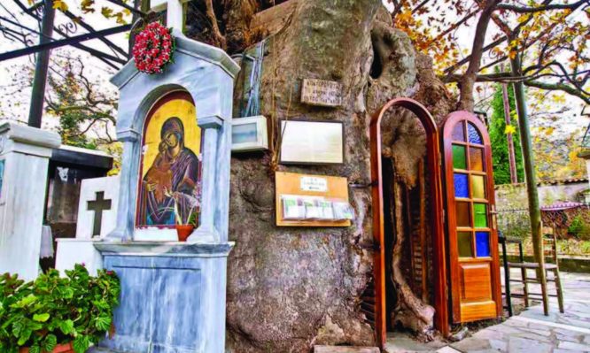 Εκκλησάκι φτιαγμένο στην κουφάλα πλατάνου 1000 ετών – Βίντεο – Φωτογραφίες