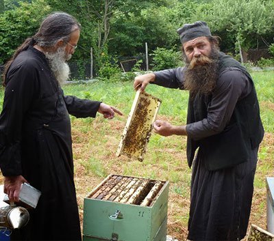ΟΙ ΔΥΟ ΜΕΛΙΣΣΟΚΟΜΟΙ. ΜΙΑ ΣΥΜΒΟΛΙΚΗ ΙΣΤΟΡΙΑ. ΕΝΑΣ ΓΡΙΦΟΣ ΓΙΑ ΔΥΝΑΤΟΥΣ ΛΥΤΕΣ.