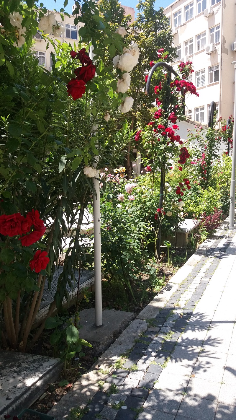 20190512_122926 - Αντιγραφή