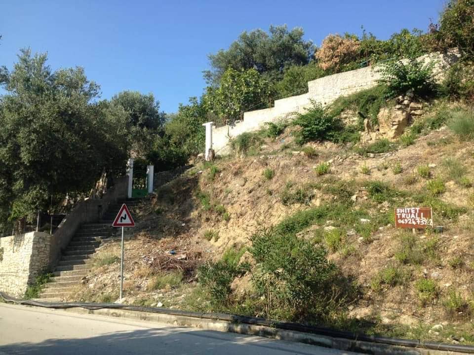 tzami-borshi3