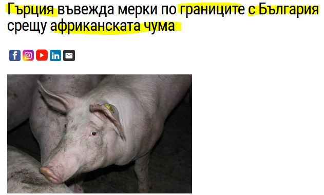 Επαγρύπνηση στα ελληνοβουλγαρικά σύνορα για την αφρικανική πανώλη των χοίρων