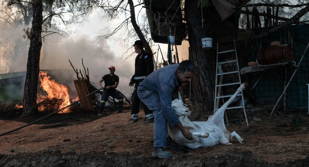 Πληροφορίες ότι ανακρίνεται ύποπτος για τη μεγάλη φωτιά στην Εύβοια