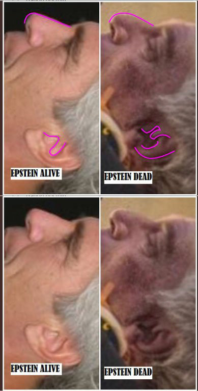 Epstein-Alive-vs-Dead