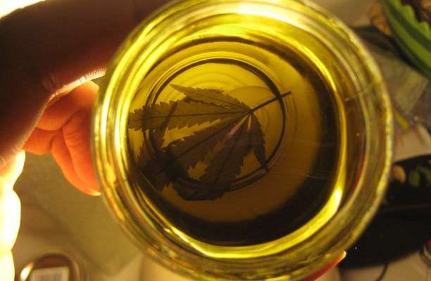 Φαρμακευτική Κάνναβη: Ένα θαυματουργό απαγορευμένο φάρμακο κατά του καρκίνου