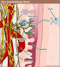 images-41