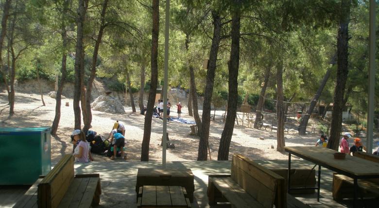 Τι ακριβώς γίνεται στις κατασκηνώσεις του Αγίου Ανδρέα με τις ΜΚΟ;