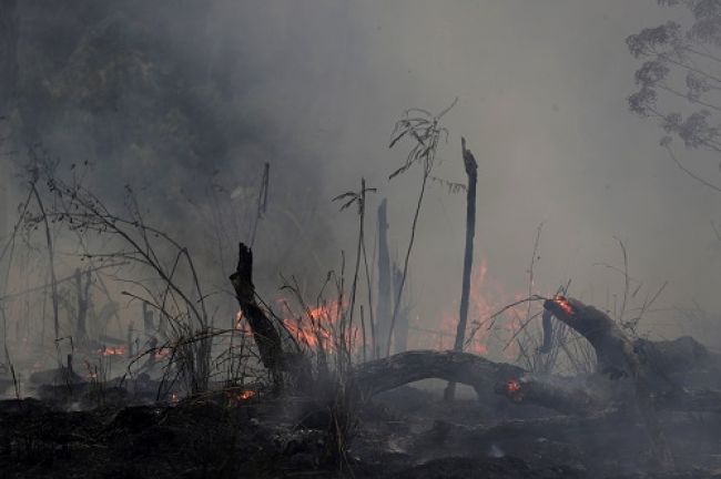 ΥΠΕΞ Βραζιλίας: Δεν υπάρχει καμιά «καταστροφή εξαιτίας της κλιματικής αλλαγής»
