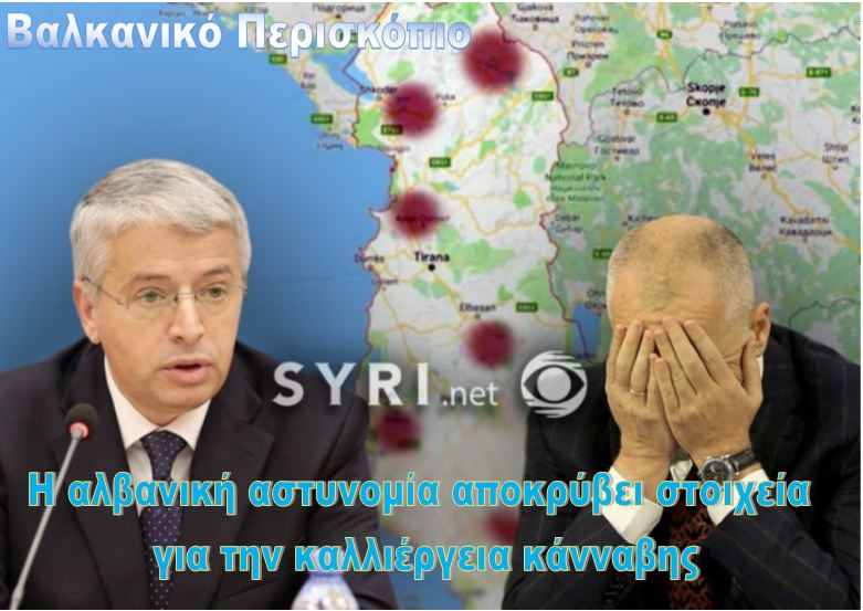Η Αλβανία ‘πνίγεται’ στην κάνναβη- Το υπουργείο κρύβει τα φοβερά στοιχεία…