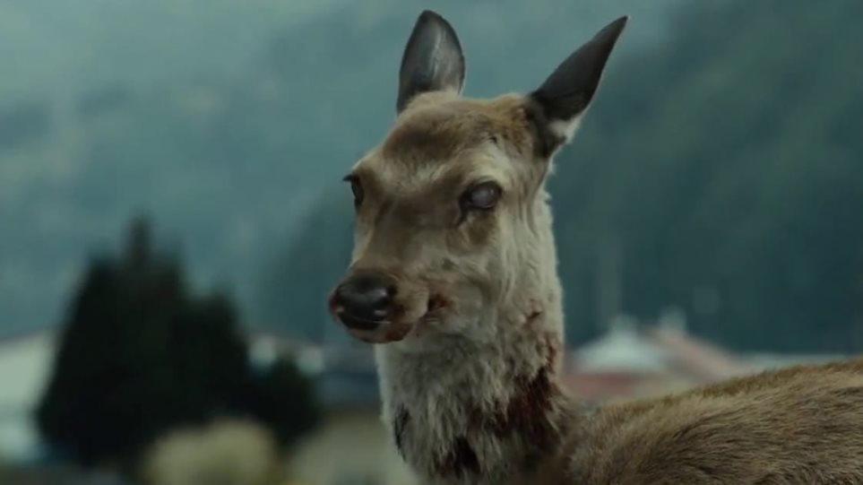 Σενάριο «Walking Dead» στις ΗΠΑ: Η ασθένεια «Zombie Deer» μπορεί να απειλήσει τον άνθρωπο
