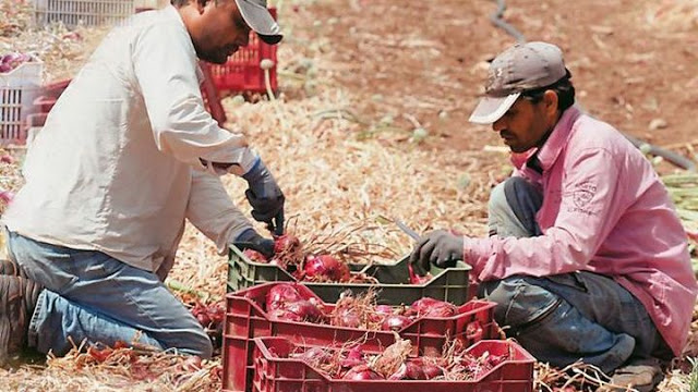 Το νέο μεγάλο ψέμα – Χρειαζόμαστε φθηνούς εργάτες γης
