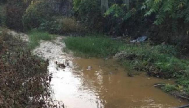 Πηγή ρύπανσης τα βοθρολύματα της Μόριας