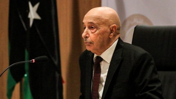 Πόπη Ζώη : Πολιτικοί Ανδρείκελα