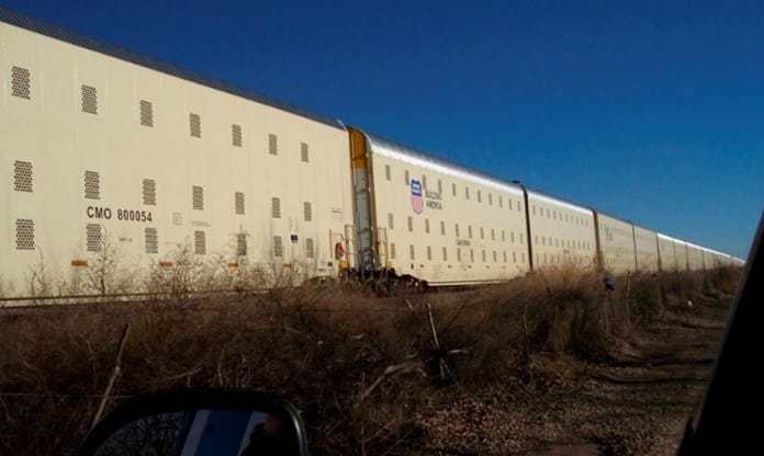 FEMA – Τρένα Θανάτου. Aρμαγεδδών – Η φωτιά της κόλασης – Τα μυστηριώδη φέρετρα της FEMA.