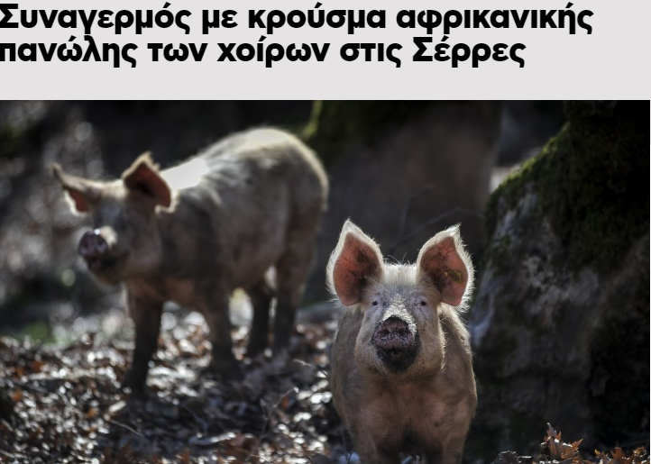 Rick : «..Θα Μολύνουν Τα Οικόσιτα Ζώα Μας (Γαλοπούλες Χοίροι Κλπ.)»