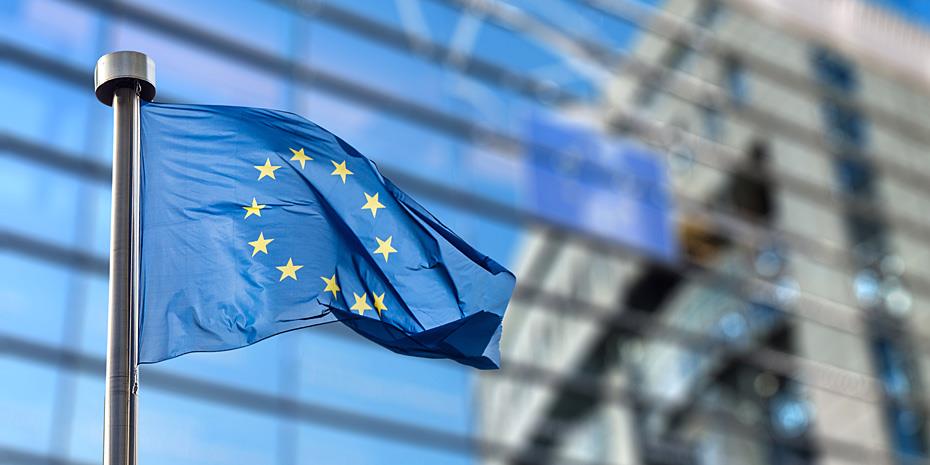 ΠΟΠΗ ΖΩΗ : ΕΥΡΩΠΑΙΚΗ ΕΝΩΣΗ – ΑΝΑΖΗΤΟΥΝΤΑΙ ΗΓΕΤΕΣ
