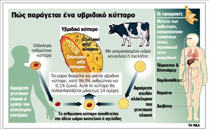 TO 2007 ΣΤΗΝ ΕΦΗΜΕΡΙΔΑ ΤΑ ΝΕΑ ΕΙΧΑΝ ΔΗΜΟΣΙΕΥΤΕΙ ΤΑ ΠΕΙΡΑΜΑΤΑ ΜΕ ΤΑ ΑΝΘΡΩΠΙΝΑ ΥΒΡΙΔΙΑ ΔΗΘΕΝ ΓΙΑ ΝΑ ΒΡΟΥΜΕ ΤΙΣ ΘΕΡΑΠΕΙΕΣ ΓΙΑ ΔΙΑΦΟΡΕΣ ΑΣΘΕΝΕΙΕΣ.