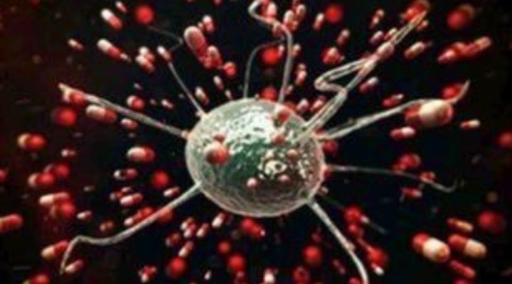 Θα αναχαιτίσουν τον κορονοϊό η άνοιξη και η ζέστη; Ουδείς το γνωρίζει