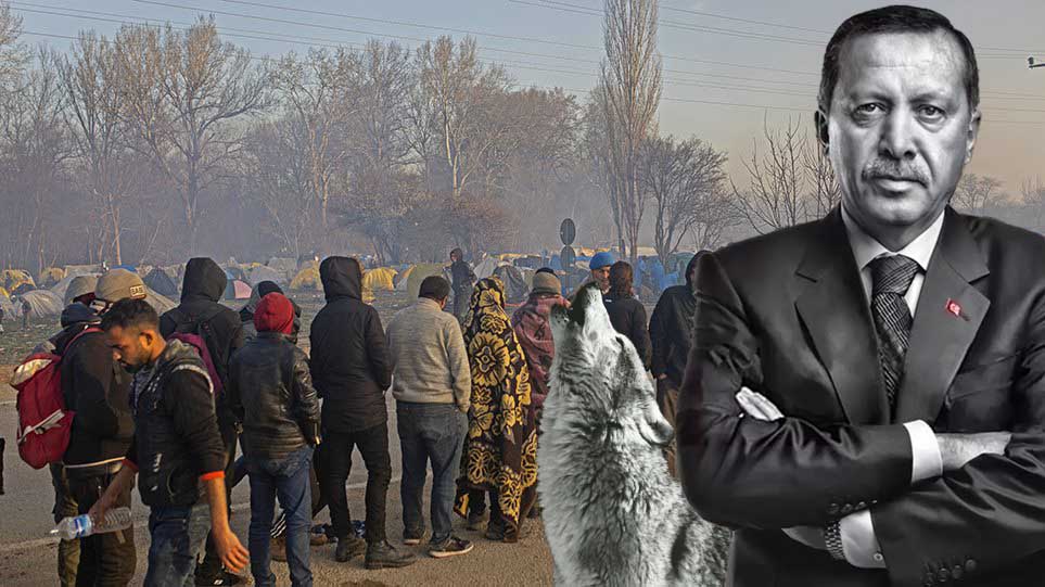 Το Ουρλιαχτό του Γκρίζου Λύκου…