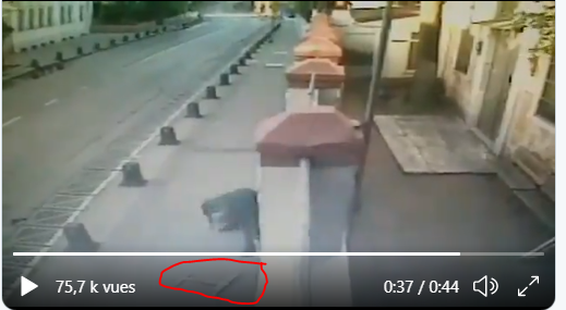 Τούρκος ισλαμοφασίστας βανδαλίζει Αρμένικο ναό. Σπάει το Σταυρό και τον πετάει στο δρόμο…ΒΙΝΤΕΟ