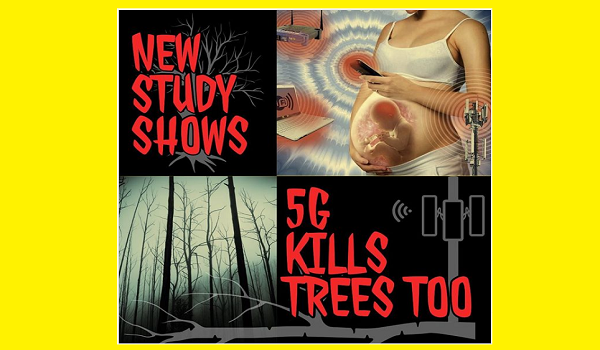 KENNEDY: Το 5G Kills Trees Λέει Νέα Γερμανική Μελέτη