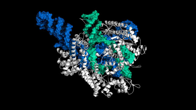 Τι είναι το CRISPR; Μια τεχνολογία που μπορεί να αλλάξει τον κόσμο