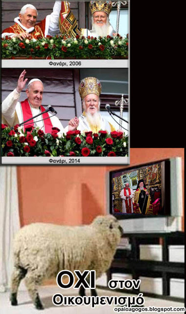 probato2 jpg