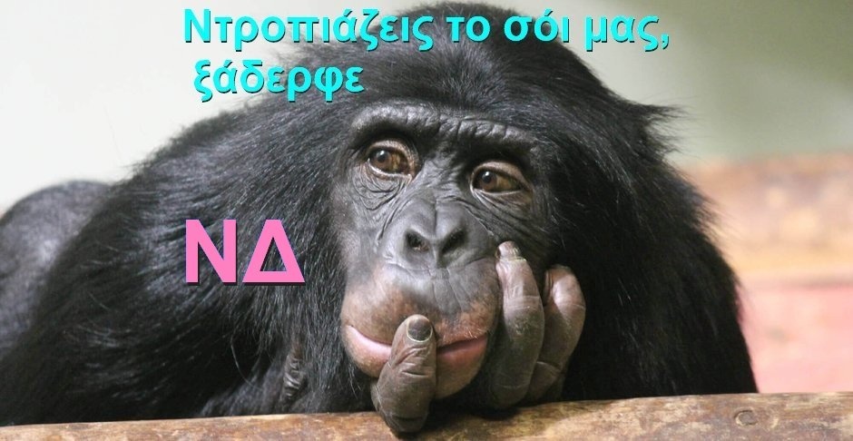 BAS_4 : Ντροπιάζεις το σόι μας, ξάδερφε
