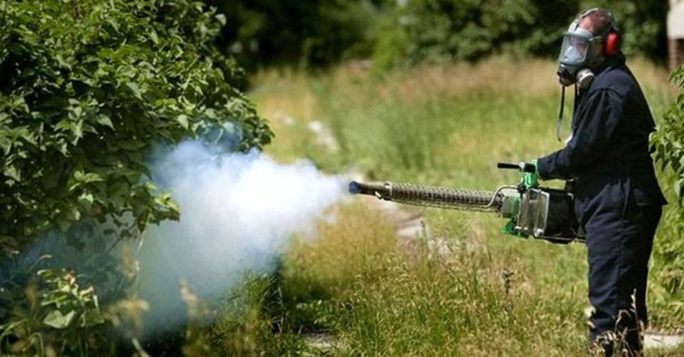 Νεκτάριος Δαπέργολας : Το να σε αποκαλεί έτσι ένας …ε δεν είναι πια και τόσο βαρύ!
