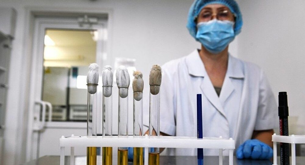 Ρώσοι ερευνητές εντόπισαν μανιτάρι με αντιϊκές ιδιότητες – Ελπίδες στη μάχη κατά του κορονοϊού