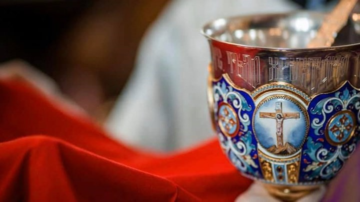 Το τσίμπημα της σφίγγας και το “αντίδοτο”
