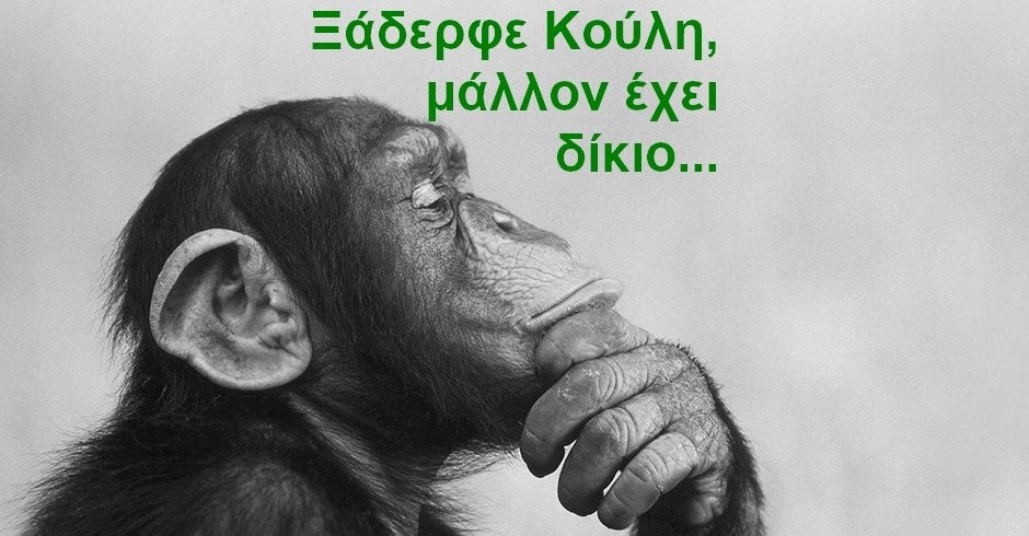 BAS_4 : Ξάδερφε Κούλη, μάλλον έχει δίκιο…