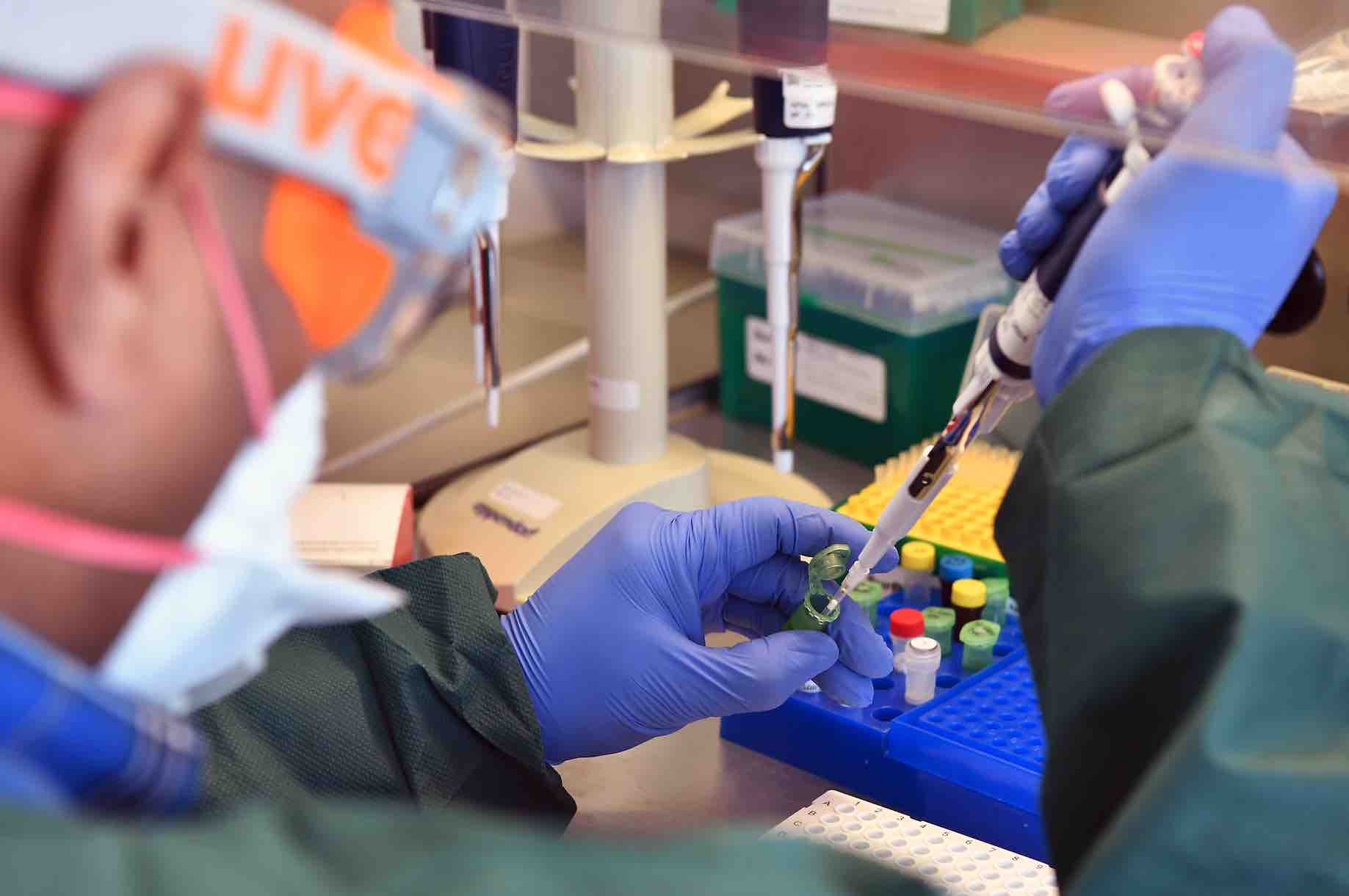Ο ΠΟΥ επιβεβαιώνει ότι το τεστ pcr covid-19 είναι ελαττωματικό: Οι εκτιμήσεις των «θετικών κρουσμάτων» δεν έχουν νόημα. Το απαγορευτικό (lockdown) …