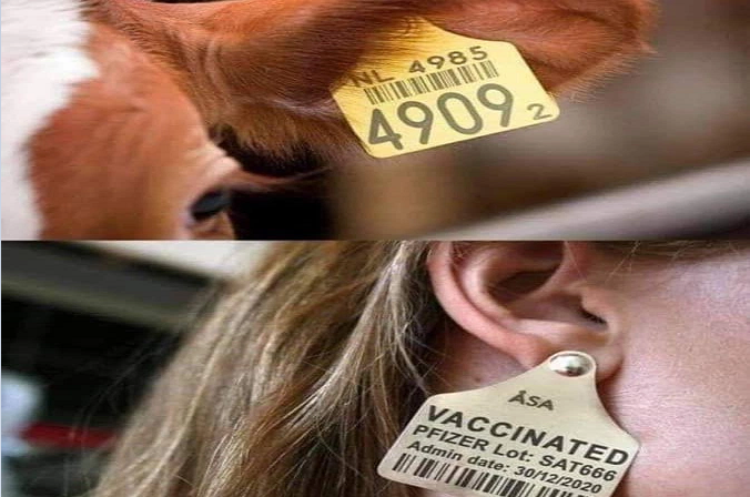 Ορφανά χτυπήματα, θάνατοι μετά από εμβολιασμό στο γαλλικό twitter.