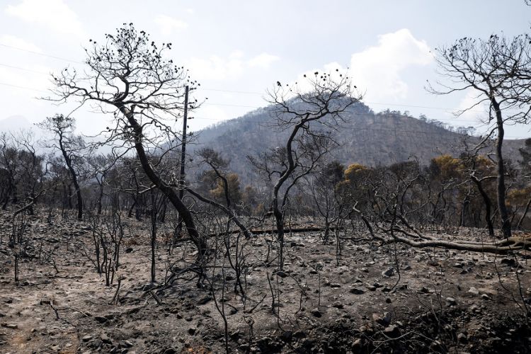 ΠΟΠΗ ΖΩΗ : ΠΥΡΚΑΙΑ – ΓΕΡΑΝΕΙΑ ΟΡΗ
