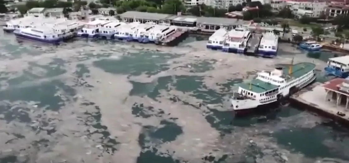 Η προφητεία των αγίων ζωντάνεψε