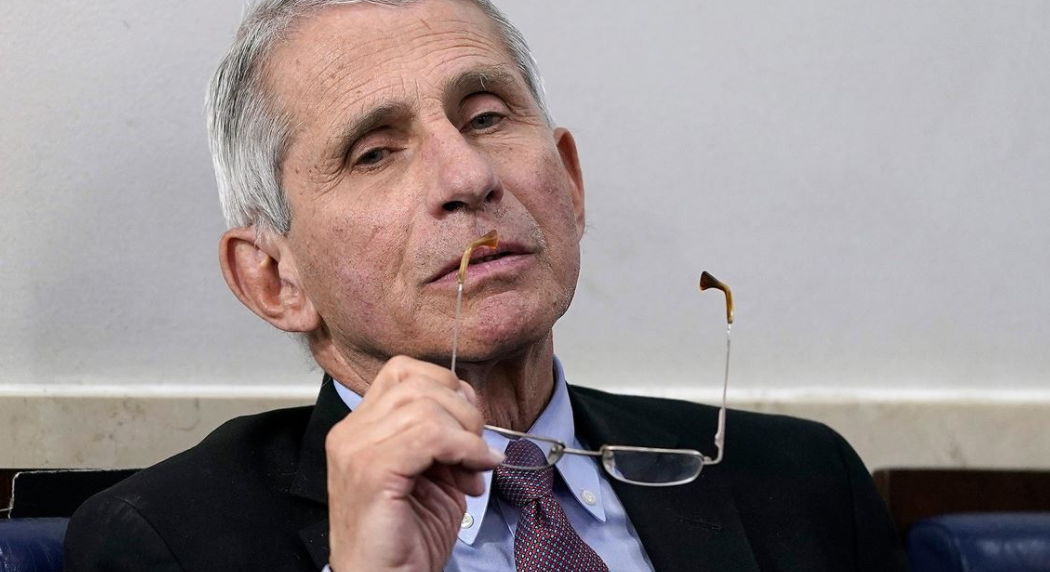 Δημήτρης Τζώρας : Ο Φάουτσι, πέφτει. Ακολουθούν Mητσοτάκης, Τσιόδρας και Χαρδαλιάς. Η φάκα κλείνει και τα ποντίκια έχουν πιαστεί