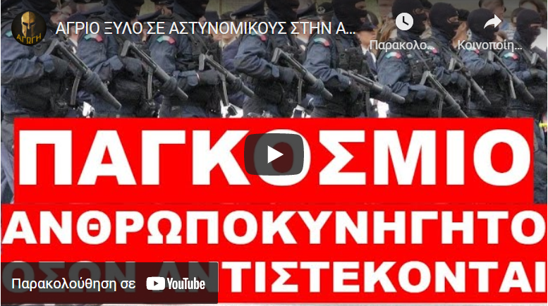 ΑΓΡΙΟ ΞΥΛΟ ΣΕ ΑΣΤΥΝΟΜΙΚΟΥΣ ΣΤΗΝ ΑΥΣΤΡΑΛΙΑ !