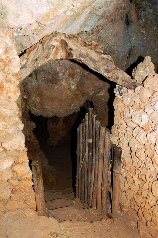 Ηλίας Καλλιώρας : Μόλις έλαβα από πνευματικό αδελφό νεώτερο, σύντομο και επείγον μήνυμα από ερημίτες …