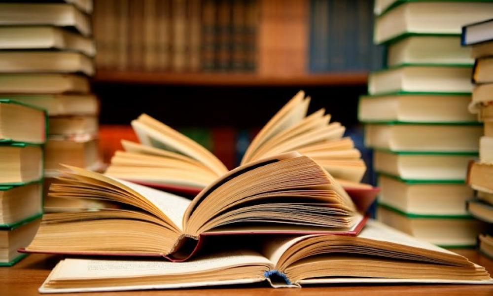 Δημήτρης Νατσιός : Ποιητικές προτάσεις για… ορθογραφία και ορθοπραξία